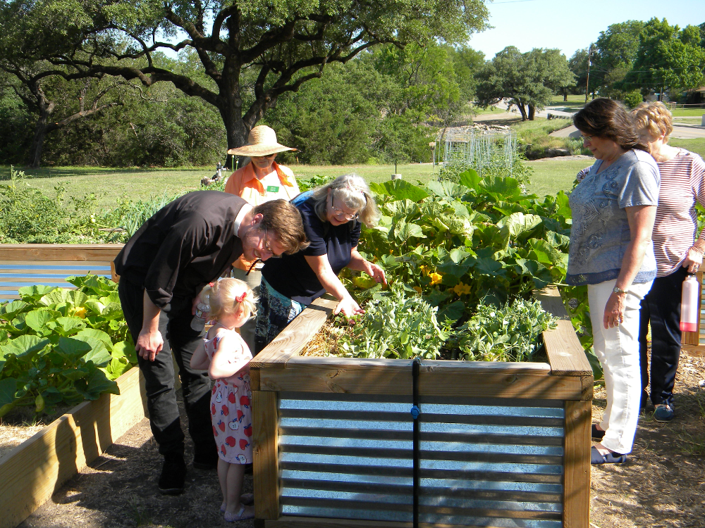 GardenGroupTallBed