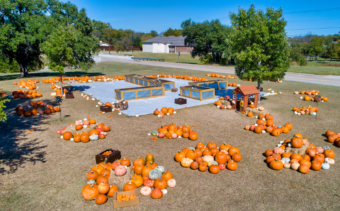 PumpkinPatch